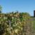 Domaine du Belvédère